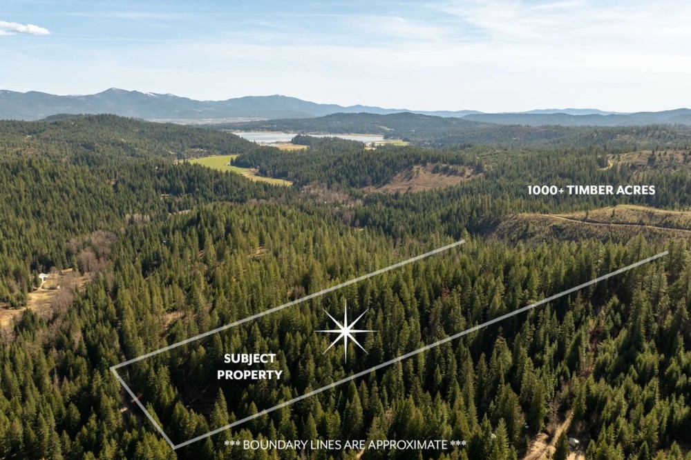 10ac Borders Timber Water Power Septic In Cabin featured image