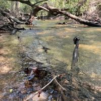 Land for Sale in Jefferson Davis County MS