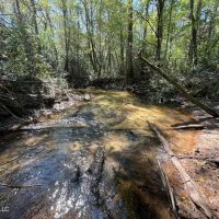 Land for Sale in Jefferson Davis County MS images 3