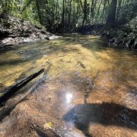 Land for Sale in Jefferson Davis County MS images 4