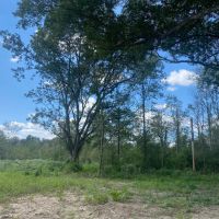 LA - Richland 47.91 acres images 4