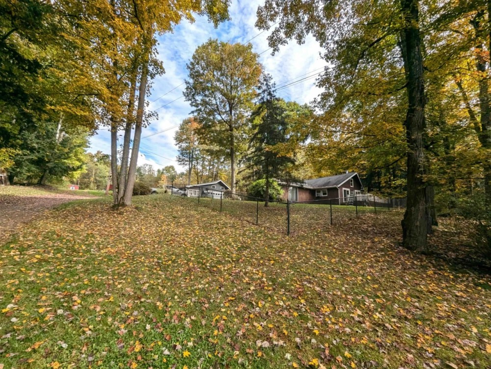 Secluded Country Home with Pond and Timberland on 91 acres in Bath NY 5993 Campbell Creek Rd featured image