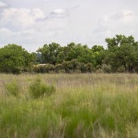 Pecos Bosque Ranch images 3