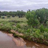 Pecos Bosque Ranch images 4