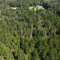 12.3 Acres in Simpson County in Mendenhall MS images 2