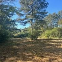 12.3 Acres in Simpson County in Mendenhall MS images 5