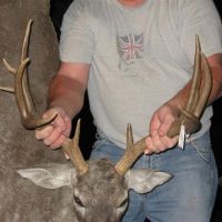 Deer photos (2) (small)