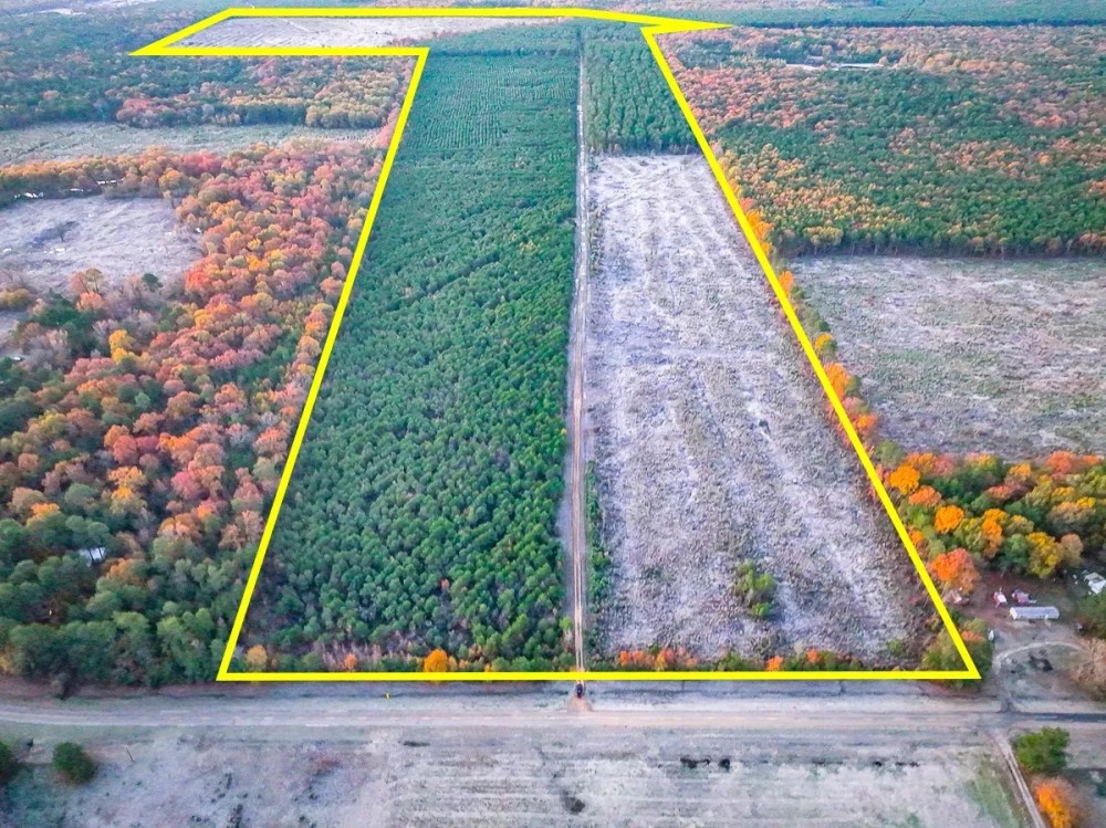 383 Acres FM 2120 Kiskadee featured image