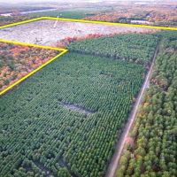 383 Acres FM 2120 Kiskadee images 2