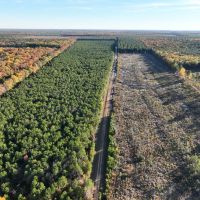 383 Acres FM 2120 Kiskadee images 4