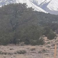 185 Black Hills Walsenburg CO 81089 images 4