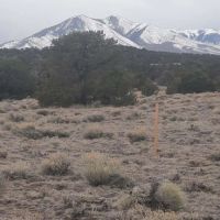 185 Black Hills Walsenburg CO 81089 images 5