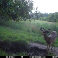130 Acres of Prime Hunting Land in New Albin IA images 2