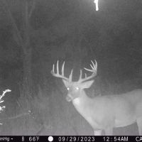 130 Acres of Prime Hunting Land in New Albin IA images 5