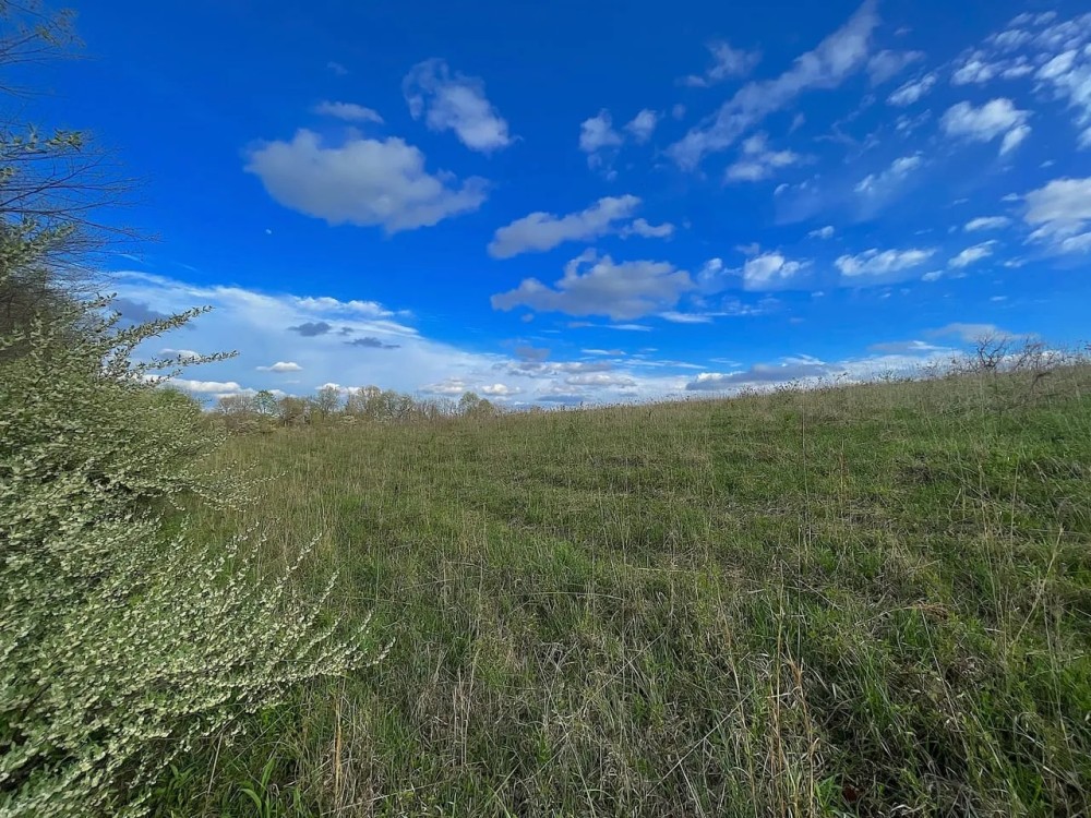 TR 202 - 14 acres - Perry County featured image