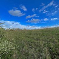 TR 202 - 14 acres - Perry County