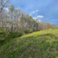 TR 202 - 14 acres - Perry County images 2