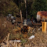One Equity Share at Magna Vista in Issaquena County MS images 5
