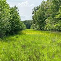 LA - Richland 155 Acres -