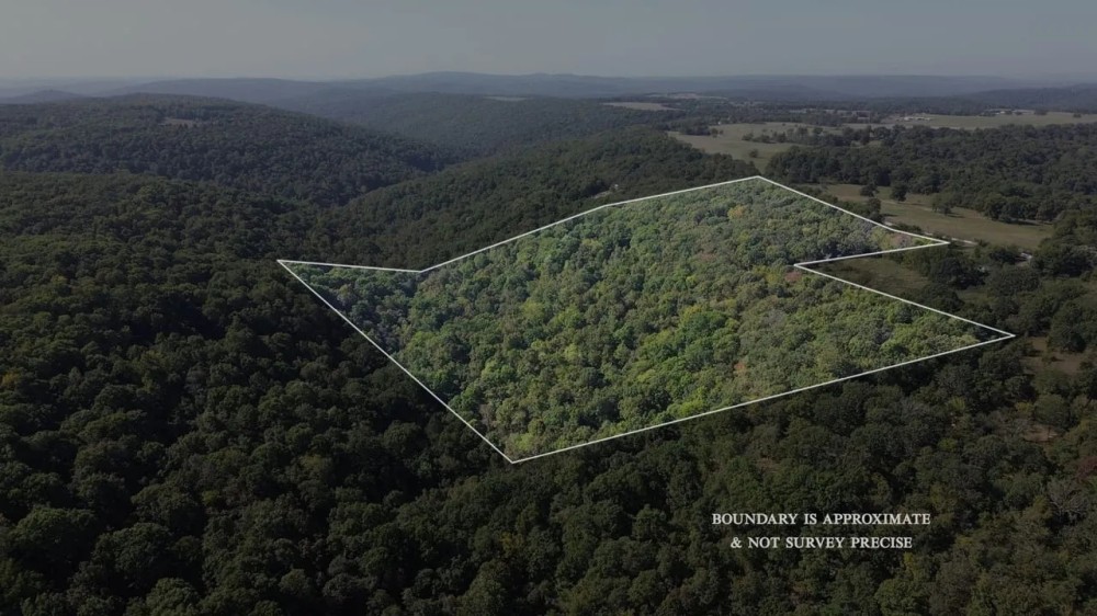 38 acres and shop in Washington County Arkansas featured image