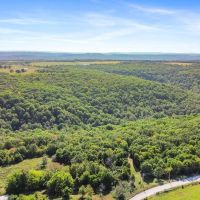 38 acres and shop in Washington County Arkansas images 5