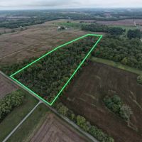 LAND FOR SALE - 16.5 WOODS BUILDING SITE - HAGERSTOWN INDIANA - HENRY COUNTY