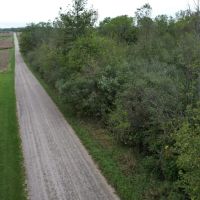 LAND FOR SALE - 16.5 WOODS BUILDING SITE - HAGERSTOWN INDIANA - HENRY COUNTY images 2