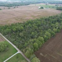 LAND FOR SALE - 16.5 WOODS BUILDING SITE - HAGERSTOWN INDIANA - HENRY COUNTY images 3