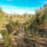 Clarke Place Road Tract