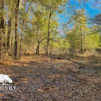 Clarke Place Road Tract images 3