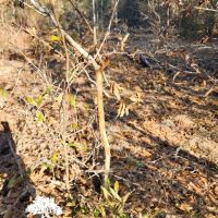 Clarke Place Road Tract images 4