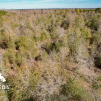 Clarke Place Road Tract images 5