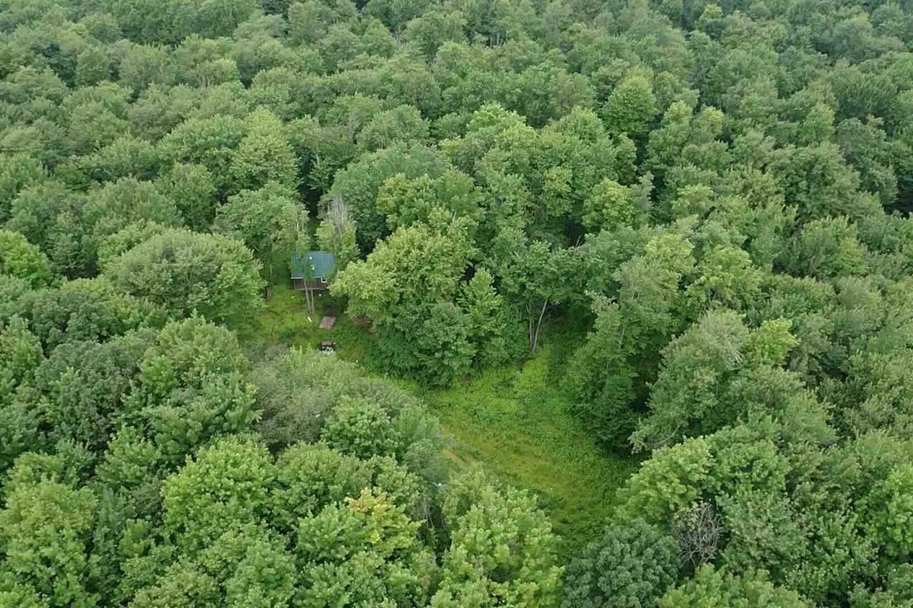 Cabin on 82 acres of Hunting Land in Rexville NY 1021 Lewis Rd Hunting Land for Sale