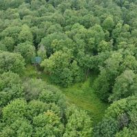 Cabin on 82 acres of Hunting Land in Rexville NY 1021 Lewis Rd