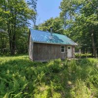Cabin on 82 acres of Hunting Land in Rexville NY 1021 Lewis Rd images 2