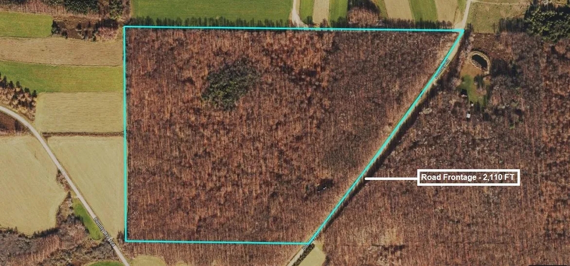 Cabin on 82 acres of Hunting Land in Rexville NY 1021 Lewis Rd Hunting Land for Sale