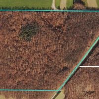 Cabin on 82 acres of Hunting Land in Rexville NY 1021 Lewis Rd images 3