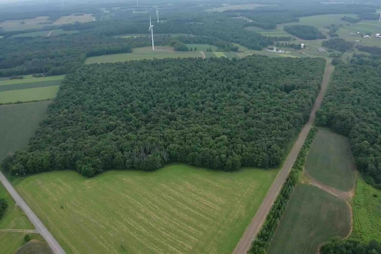 Cabin on 82 acres of Hunting Land in Rexville NY 1021 Lewis Rd Hunting Land for Sale