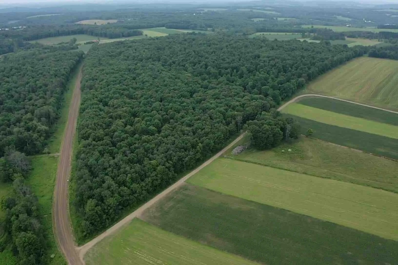 Cabin on 82 acres of Hunting Land in Rexville NY 1021 Lewis Rd Hunting Land for Sale