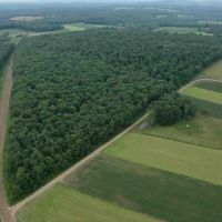 Cabin on 82 acres of Hunting Land in Rexville NY 1021 Lewis Rd images 5