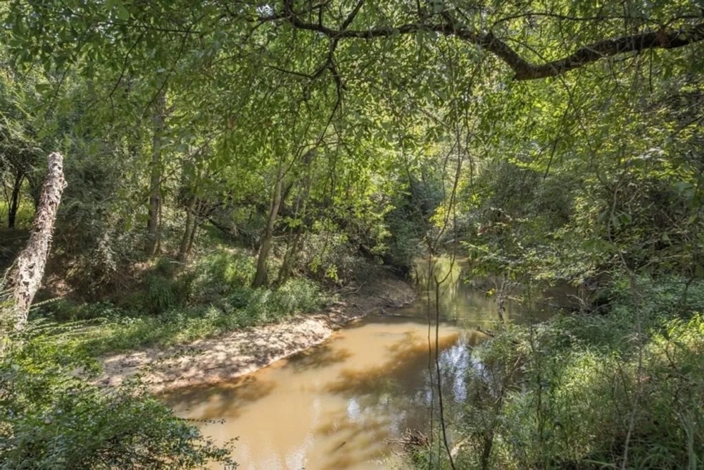 137 Acres for Sale with Comite River Frontage featured image