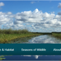 145,189 acres A.R.M. Loxahatche big hunting land for waterfowl Palm Beach, FL images 2