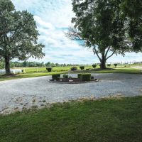 Shady Grove Estate images 3