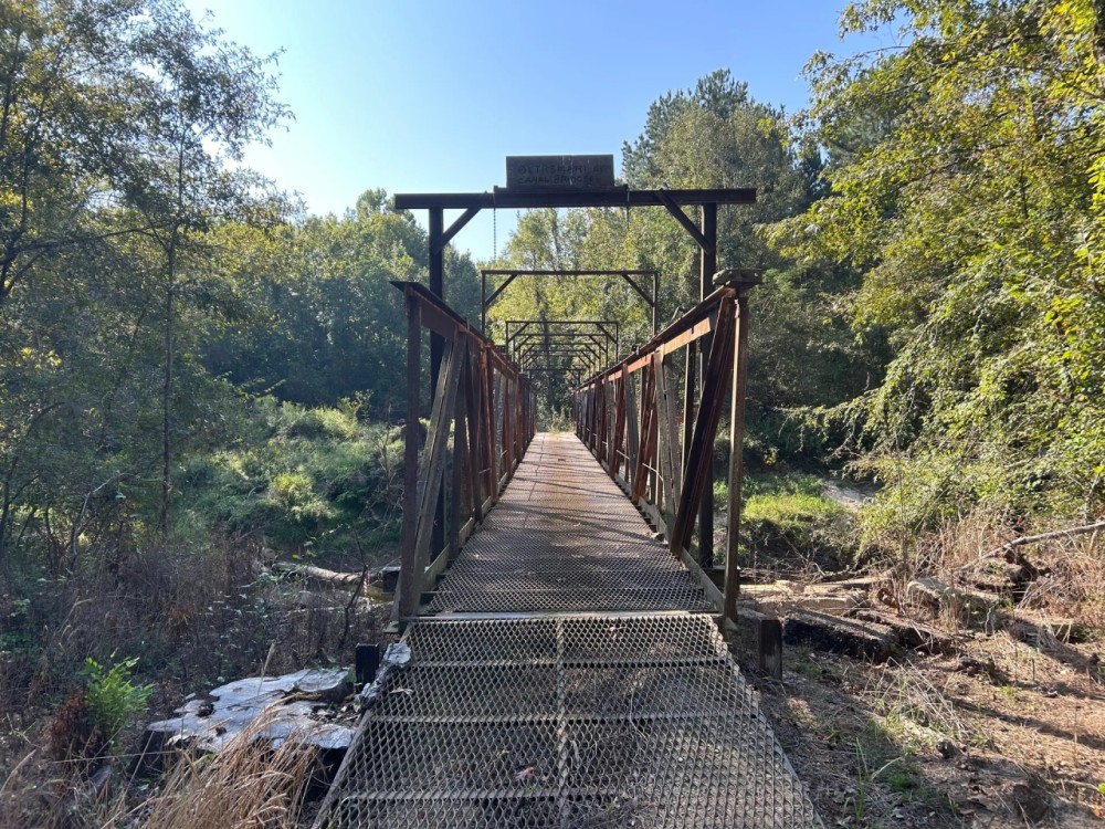 ONE Equity SHARE at Jack Slough Hunting Club in Montgomery and Choctaw Counties MS featured image