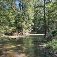 ONE Equity SHARE at Jack Slough Hunting Club in Montgomery and Choctaw Counties MS images 2