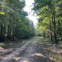 ONE Equity SHARE at Jack Slough Hunting Club in Montgomery and Choctaw Counties MS images 5