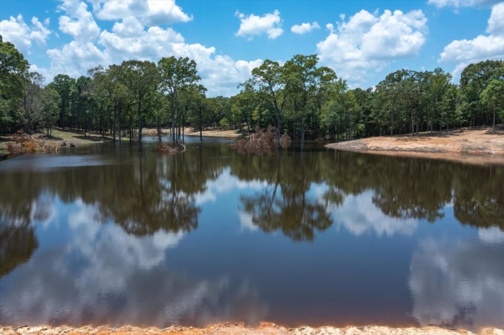 220 acres deep in the heart of ETX featured image