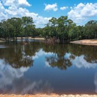 220 acres deep in the heart of ETX