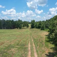 220 acres deep in the heart of ETX images 3
