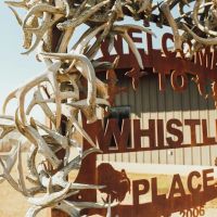 1 200 Acres at Whistle Place Farm in Phillips County AR images 2